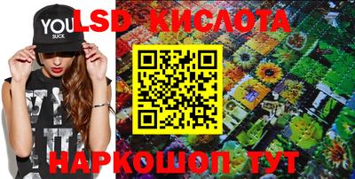 круглые Кингисепп