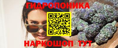 2c-b Кимры