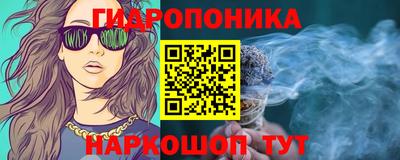 круглые Кингисепп