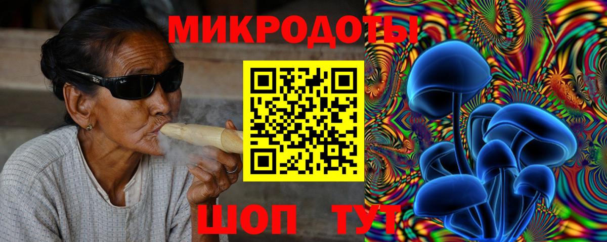 Псилоцибиновые грибы Psilocybine cubensis  Вход с VPN  Костомукша  Галлюциногенные грибы мицелий 